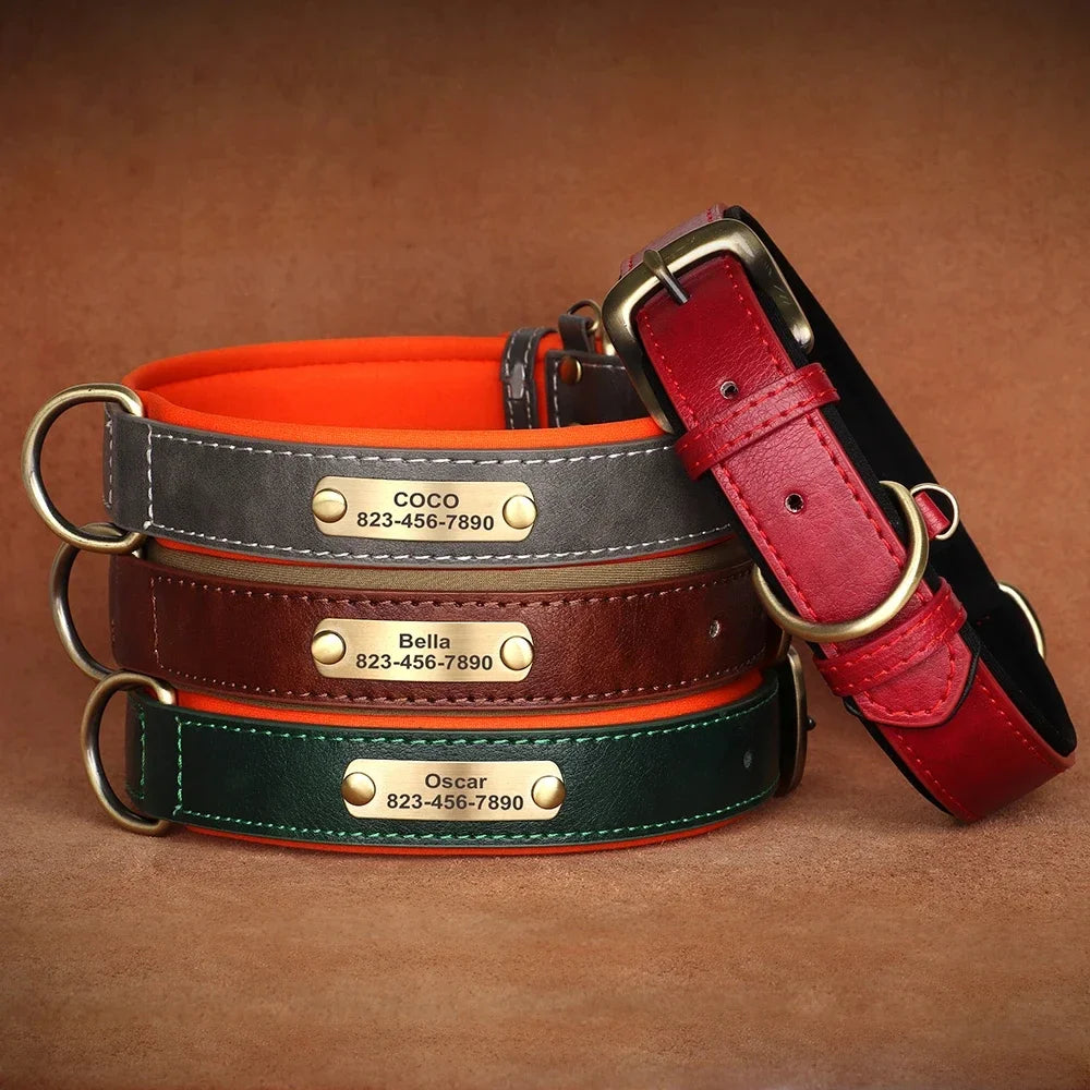 Customized ID Leather Dog Collar