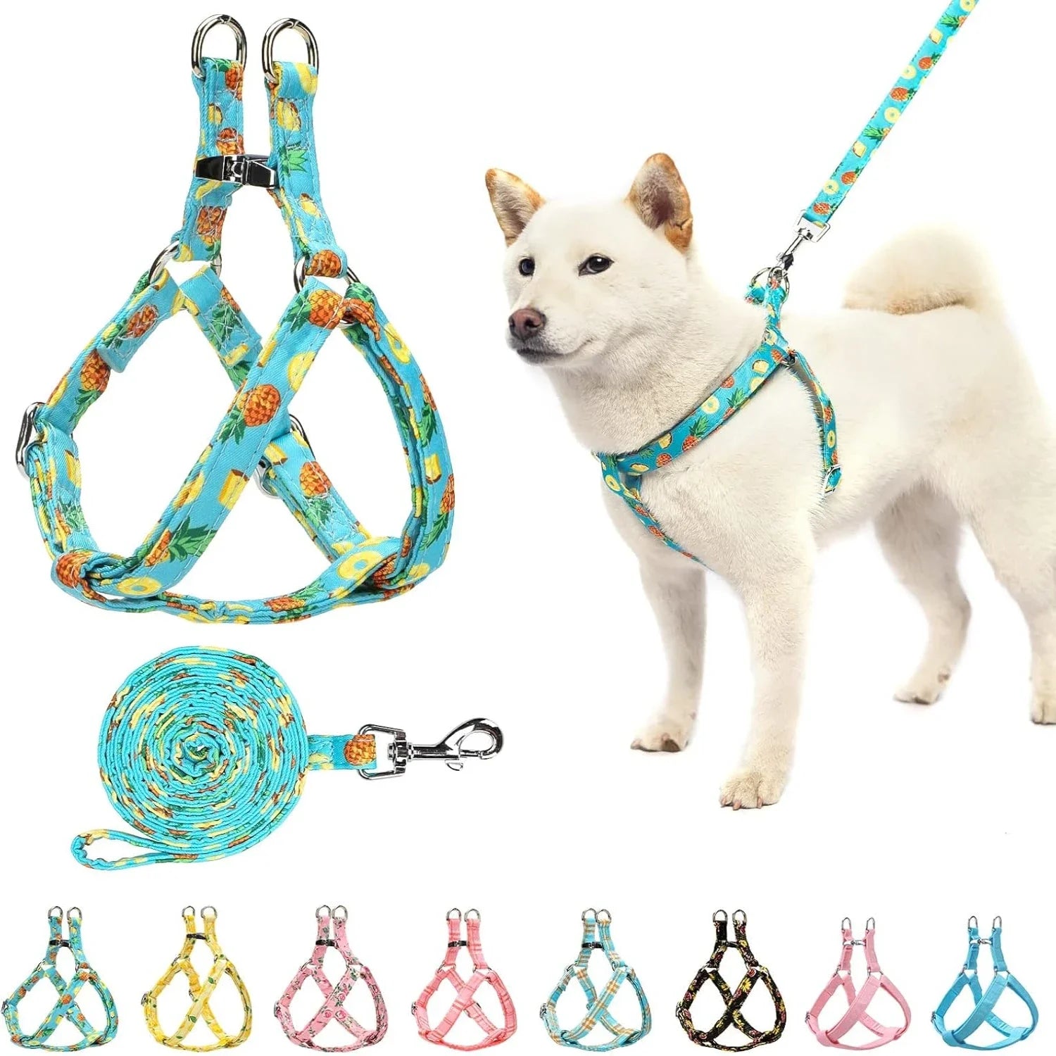 Colorful Leash & Harness Set