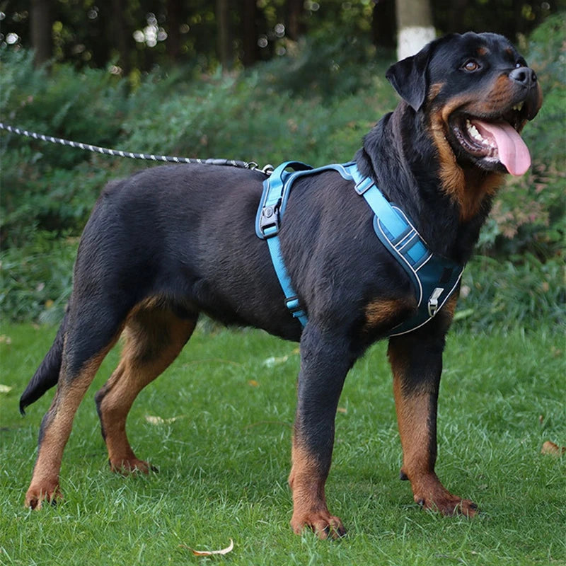 Reflective Dog Harness